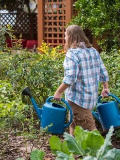 French Blue Watering Can -Gardener's Supply Sales 06341 1390 tif
