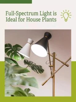 Adjustable 3-Arm Grow Lamp 10 Adjustable 3-Arm Grow Lamp -Gardener's Supply Sales 3 Arm 1