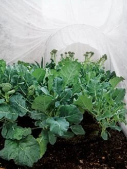 Summerweight Garden Fabric -Gardener's Supply Sales 32644 7936 tif