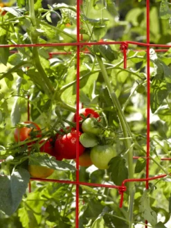 Tomato Cages, Set Of 4 9 Tomato Cages, Set Of 4 -Gardener's Supply Sales 34182 592