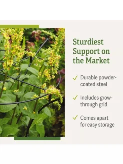 Essex Plant Supports -Gardener's Supply Sales 37 423 product details