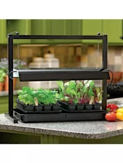 Compact Tabletop SunLite® Garden 8 Compact Tabletop SunLite® Garden -Gardener's Supply Sales 37817 002ED 3 4