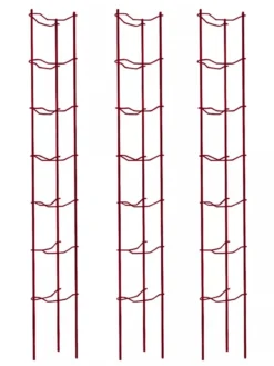 Tomato Ladders, Set Of 3 -Gardener's Supply Sales 38185 002E psd
