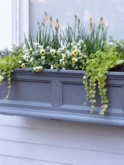 Fairfield Self-Watering Window Box, 3’ -Gardener's Supply Sales 39 344 9360 tif
