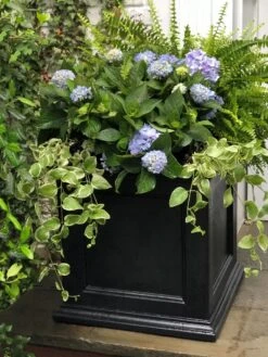 Fairfield Self-Watering Square Planter, 20” X 20” 11 Fairfield Self-Watering Square Planter, 20” X 20” -Gardener's Supply Sales 39 618 205V tif