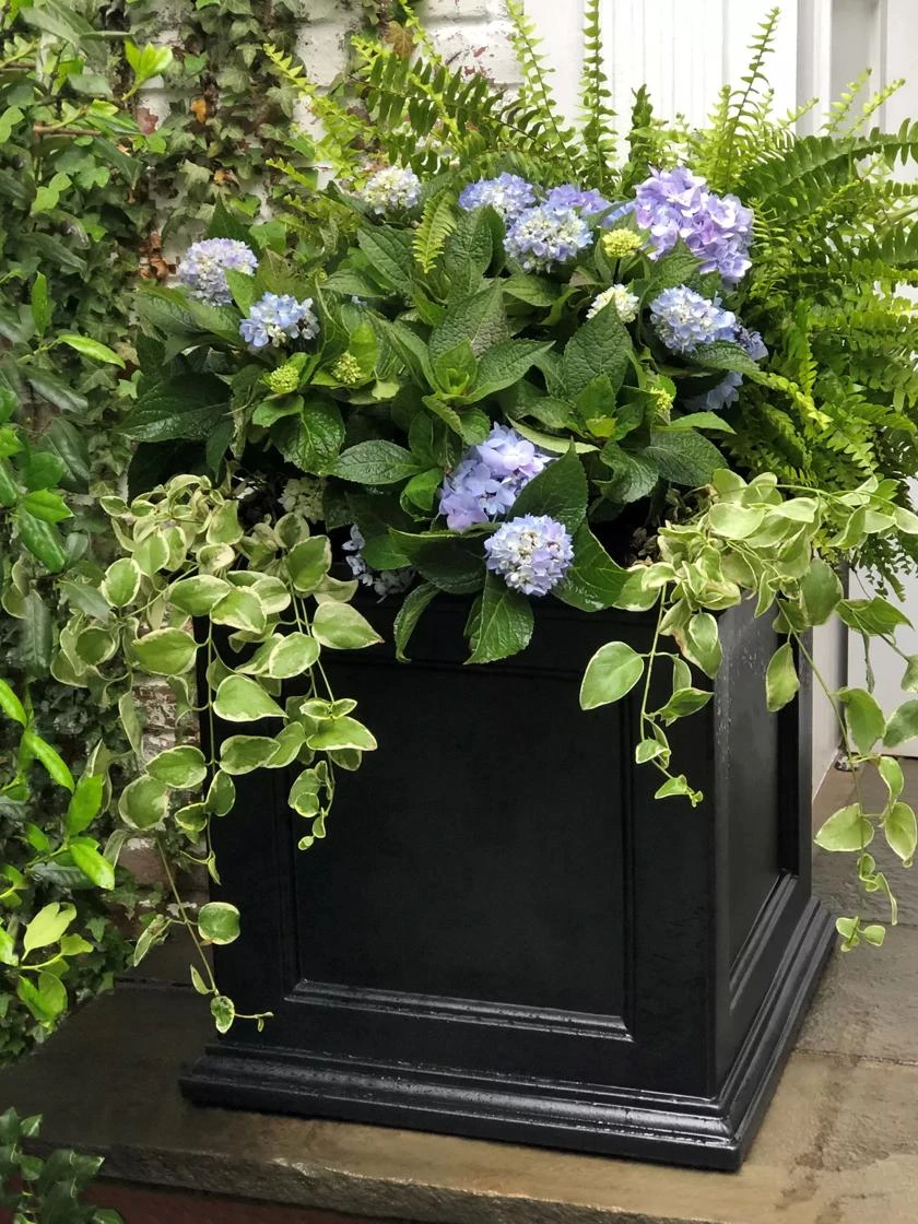 Fairfield Self-Watering Square Planter, 20” X 20” 4 Fairfield Self-Watering Square Planter, 20” X 20” - Image 4