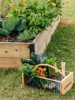 Garden Hods -Gardener's Supply Sales 39 761 572 tif