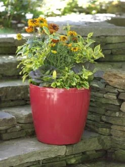Viva Round Self-Watering Rolling Planter, 17.25” Diameter -Gardener's Supply Sales 39326 046 tif