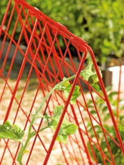 Deluxe Cucumber Trellis 10 Deluxe Cucumber Trellis -Gardener's Supply Sales 39806 542 tif