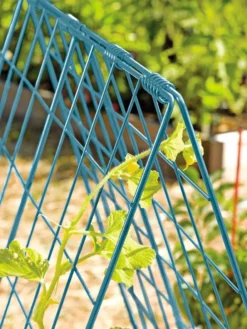 Deluxe Cucumber Trellis 12 Deluxe Cucumber Trellis -Gardener's Supply Sales 39806 BLUE 100 tif