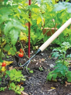 Gardener's Lifetime Long-Handled Double Tool 7 Gardener's Lifetime Long-Handled Double Tool -Gardener's Supply Sales 3 4 crop 8592107 2460 tif