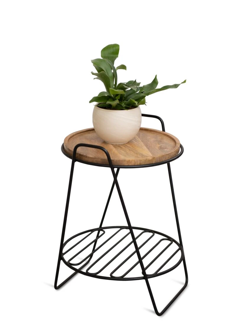 Hairpin Plant Stand With Shelf 2 Hairpin Plant Stand With Shelf - Image 2
