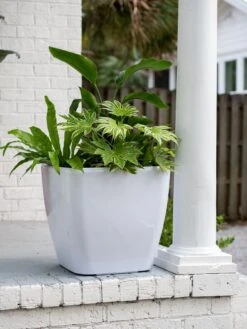 Viva Square Self-Watering Rolling Planter, 20" Diameter, Set Of 2 17 Viva Square Self-Watering Rolling Planter, 20" Diameter, Set Of 2 -Gardener's Supply Sales 3 4 crop 8612930 0033 tif