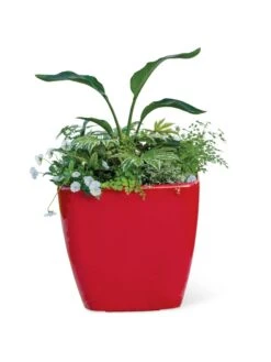 Viva Square Self-Watering Rolling Planter, 20" Diameter, Set Of 2 18 Viva Square Self-Watering Rolling Planter, 20" Diameter, Set Of 2 -Gardener's Supply Sales 3 4 crop 8612930 0037 tif
