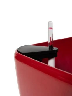 Viva Square Self-Watering Rolling Planter, 20" Diameter, Set Of 2 19 Viva Square Self-Watering Rolling Planter, 20" Diameter, Set Of 2 -Gardener's Supply Sales 3 4 crop 8612930 0107