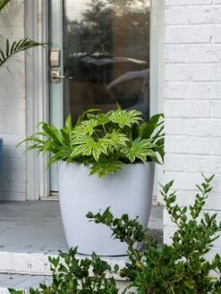 Viva Round Self-Watering Rolling Planter, 20" Diameter, Set Of 2 -Gardener's Supply Sales 3 4 crop 8612933 0025 tif