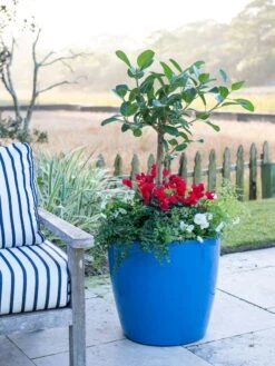 Viva Round Self-Watering Rolling Planter, 20" Diameter, Set Of 2 -Gardener's Supply Sales 3 4 crop 8612933 5312 tif