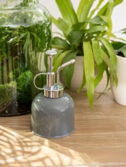 Indoor Plant Mister -Gardener's Supply Sales 3 4 crop 8612962 0049