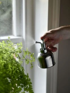 Indoor Plant Mister -Gardener's Supply Sales 3 4 crop 8612962 02V tif