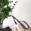 Japanese Pruning Scisssors