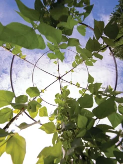 Jardin Tower -Gardener's Supply Sales 3 4 crop 8612997 0033