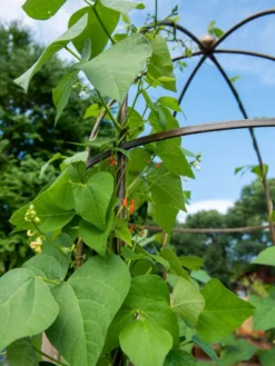 Jardin Tower -Gardener's Supply Sales 3 4 crop 8612997 0058