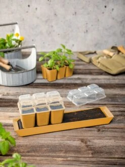 Gardener's Best® Humidity Dome, Set Of 2 -Gardener's Supply Sales 3 4 crop 8613067 10063