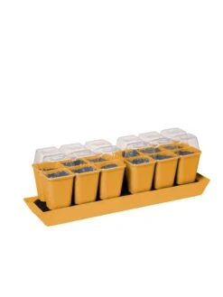 Gardener's Best® Humidity Dome, Set Of 2 -Gardener's Supply Sales 3 4 crop 8613067 5879 tif