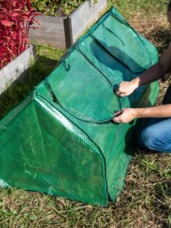 Multi Cloche -Gardener's Supply Sales 3 4 crop 8613213 0250