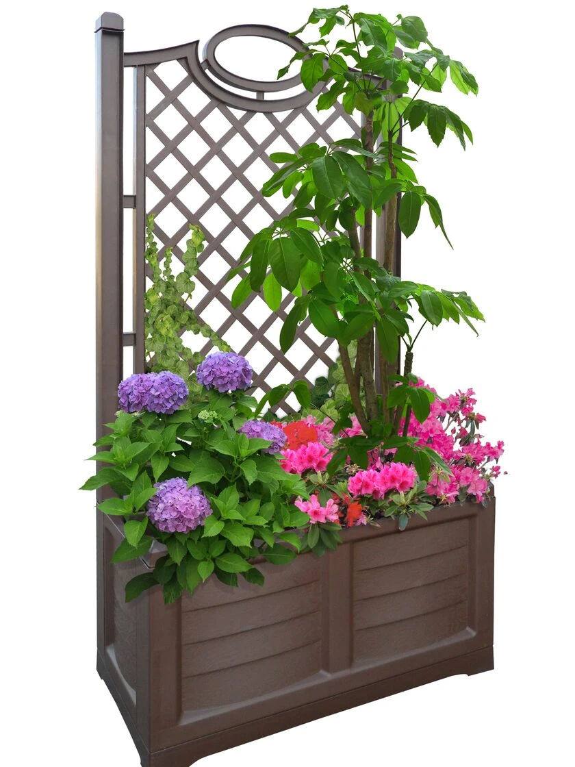 Separate Flower Box With Trellis 9 Separate Flower Box With Trellis - Image 9