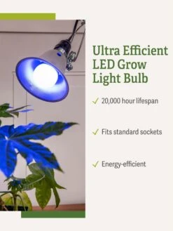Miracle LED® Grow Light Bulb, Blue -Gardener's Supply Sales 3 4 crop Miracle Bulb Blue 1