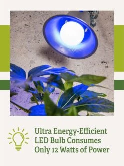 Miracle LED® Grow Light Bulb, Blue -Gardener's Supply Sales 3 4 crop Miracle Bulb Blue 2