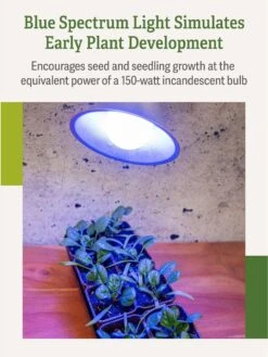 Miracle LED® Grow Light Bulb, Blue -Gardener's Supply Sales 3 4 crop Miracle Bulb Blue 3