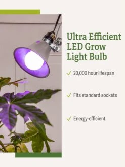 Miracle LED® Grow Light Bulb, Red And Blue -Gardener's Supply Sales 3 4 crop Miracle Bulb RB 1