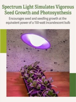 Miracle LED® Grow Light Bulb, Red And Blue -Gardener's Supply Sales 3 4 crop Miracle Bulb RB 3