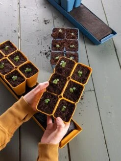 Gardener's Best® XL Seed Starting Kit -Gardener's Supply Sales 40 135 6186