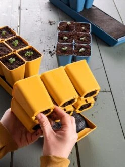 Gardener's Best® XL Seed Starting Kit -Gardener's Supply Sales 40 135 6188