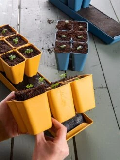 Gardener's Best® XL Seed Starting Kit -Gardener's Supply Sales 40 135 6192 1