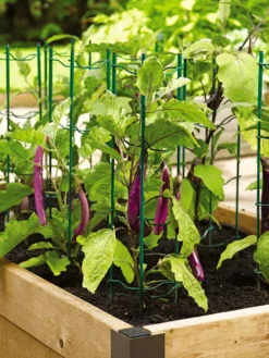 Pepper And Eggplant Stakes, Set Of 3 -Gardener's Supply Sales 40308 2116 tif