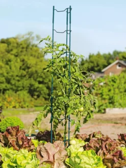 Stacking Tomato Ladders, Set Of 6 -Gardener's Supply Sales 40309 100 tif