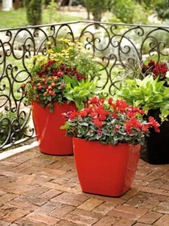 Viva Square Self-Watering Rolling Planter, 14" Diameter 6 Viva Square Self-Watering Rolling Planter, 14" Diameter -Gardener's Supply Sales 8586699 982 tif