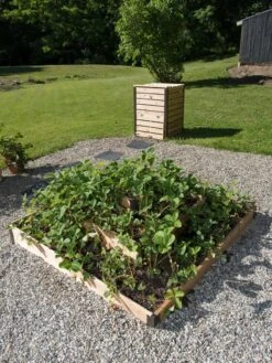 3-Tier Strawberry Bed -Gardener's Supply Sales 8586752 2341 tif