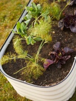 Birdies™ Modular Metal Raised Bed 17 Birdies™ Modular Metal Raised Bed -Gardener's Supply Sales 8586930 6019 tif