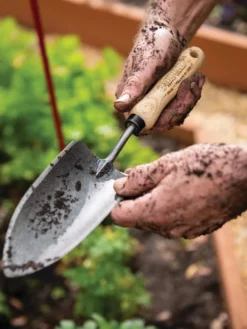 Gardener's Lifetime Trowel -Gardener's Supply Sales 8586972 3242 tif