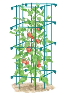 Tomato Cage, Single 6 Tomato Cage, Single -Gardener's Supply Sales 8587039 TomatoCage BLUE tif