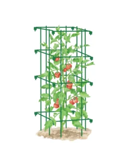 Tomato Cage, Single 7 Tomato Cage, Single -Gardener's Supply Sales 8587039 TomatoCage GRN tif