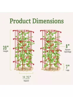 Tomato Cages, Set Of 4 12 Tomato Cages, Set Of 4 -Gardener's Supply Sales 8587040 1