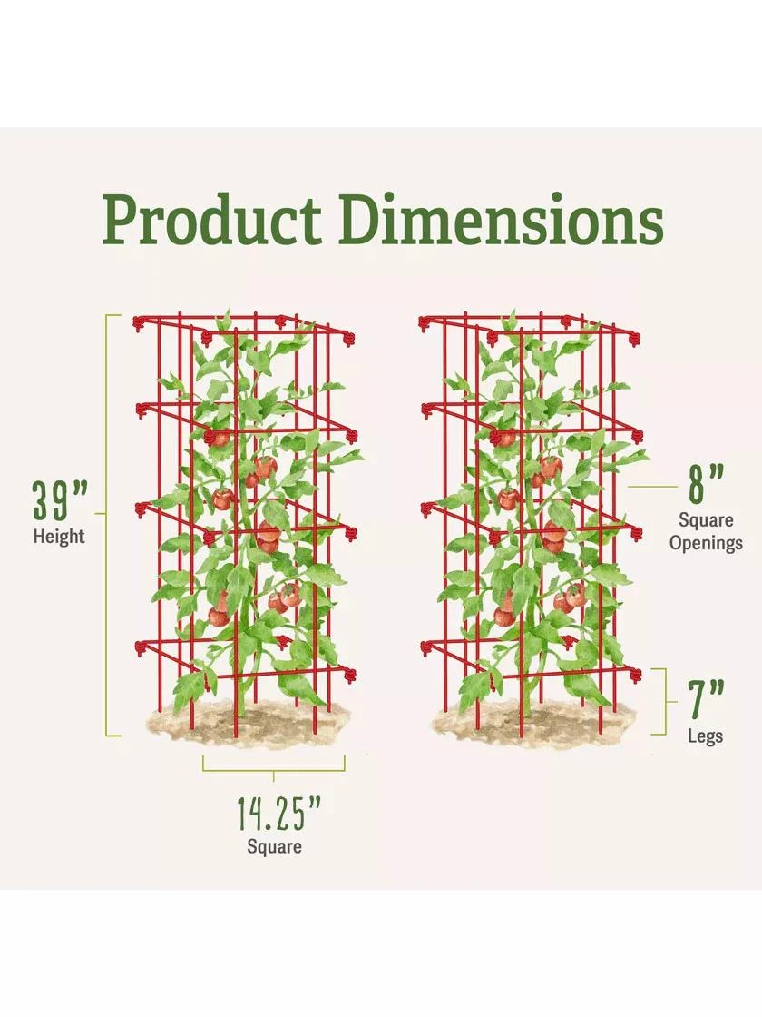 Tomato Cages, Set Of 4 6 Tomato Cages, Set Of 4 - Image 6