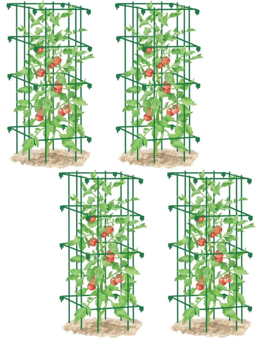Tomato Cages, Set Of 4 5 Tomato Cages, Set Of 4 - Image 5