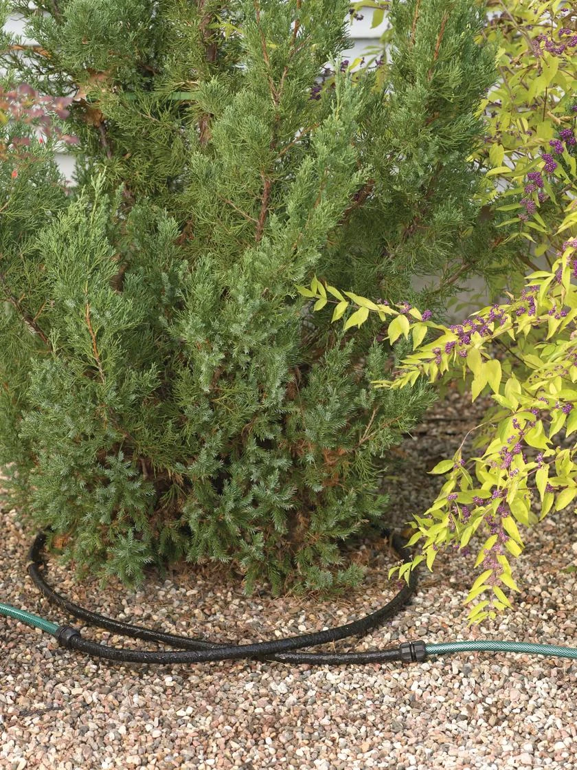 Landscape Snip-n-Drip Soaker System 1 Landscape Snip-n-Drip Soaker System